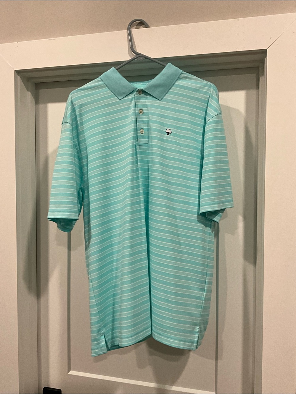 The Southern Shirt Company Mint Blue Striped Polo